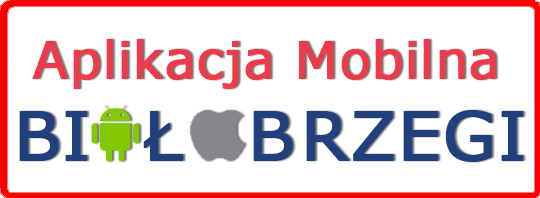 aplikacja mobilna4